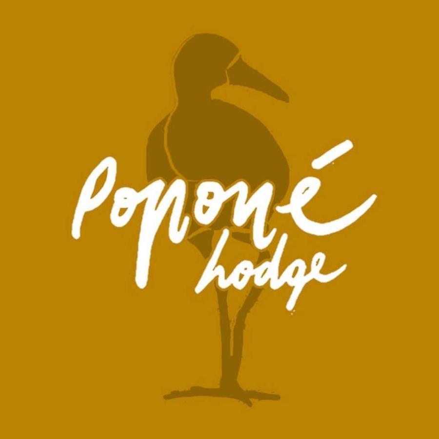 Popone Farm & Lodge Guapiles Exterior photo